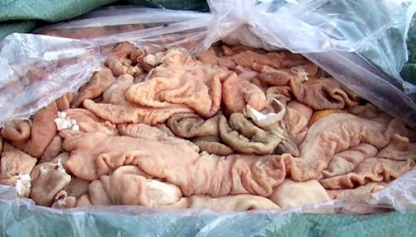 24 tấn nội tạng lợn nhiễm dịch tả châu Phi ( ảnh minh họa)