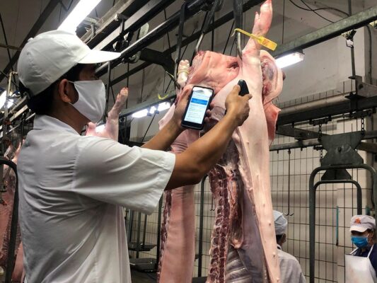 Giá thịt lợn tại các chợ đầu mối giảm mạnh
