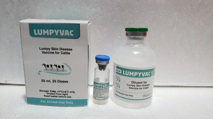 Vacxin Lumpyvac do Công ty Vetal Animal Health Product S.A, Thổ Nhĩ Kỳ sản xuất, Công ty Cổ phần Kinh doanh Thuốc thú y Amavet nhập khẩu.