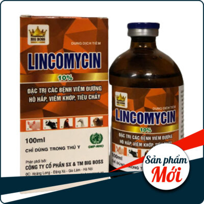 Lincomycin Đặc trị viêm khớp - tiêu chảy