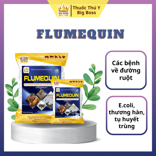 FLUMEQUIN - 1KG. Đặc trị: Các bệnh về đường ruột