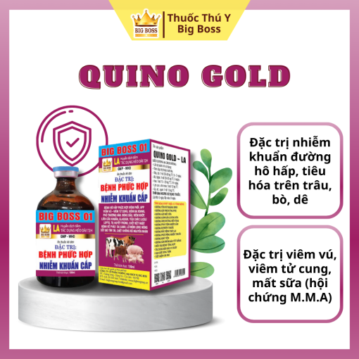 QUYNO GOD - LA -100ML. Vua trị kế pháp bệnh ghép. Nhiễm khuẩn không rõ nguyên nhân