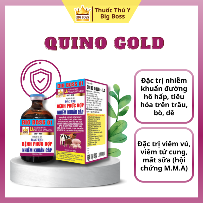 QUINO GOD - LA - Chuyên bệnh phức hợp, nhiễm khuẩn cấp