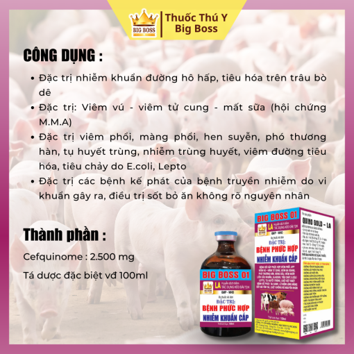 QUYNO GOD - LA -100ML. Vua trị kế pháp bệnh ghép. Nhiễm khuẩn không rõ nguyên nhân - Hình ảnh 2