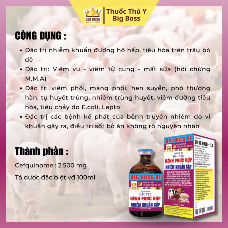 QUINO GOD - LA - Chuyên bệnh phức hợp, nhiễm khuẩn cấp