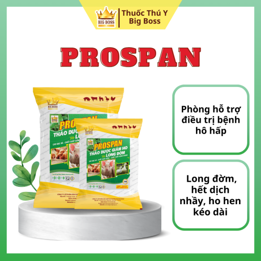 PROSPAN - GIẢM HO THẢO DƯỢC LONG ĐỜM - 1KG.  Phòng hỗ trợ điều trị bệnh hô hấp, hết dịch nhầy, ho hen kéo dài, Long đờm