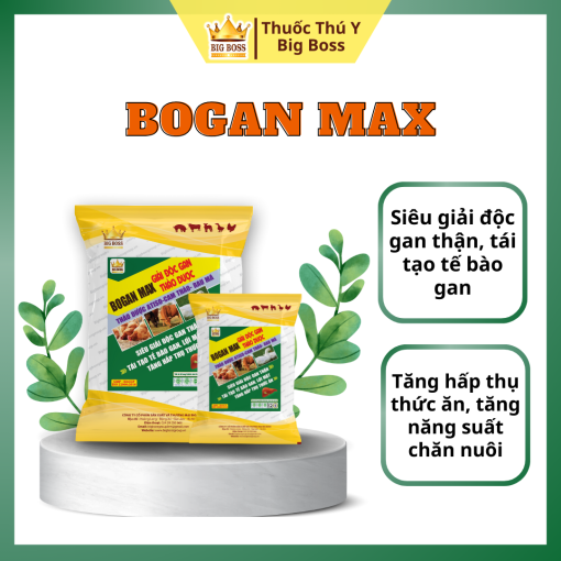 BOBAN MAX - GIẢI ĐỘC GAN THẢO DƯỢC -1KG. Siêu giải độc gan thận, tái tạo tế bào gan, lợi mật