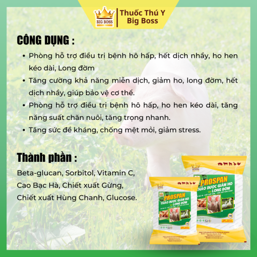 PROSPAN - GIẢM HO THẢO DƯỢC LONG ĐỜM - 1KG.  Phòng hỗ trợ điều trị bệnh hô hấp, hết dịch nhầy, ho hen kéo dài, Long đờm - Hình ảnh 2