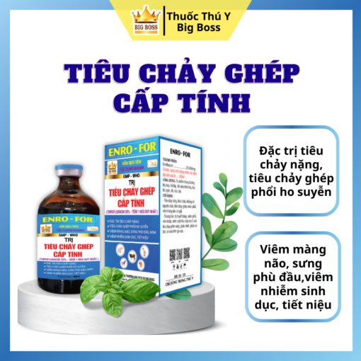 ENRO-FOR ĐẶC TRỊ TIÊU CHẢY GHÉP CẤP TÍNH - 100ML. Đặc trị tiêu chảy nặng, tiêu chảy ghép phổi ho suyễn, viêm màng não, sưng phù đầu,viêm nhiễm sinh dục, tiết niệu.