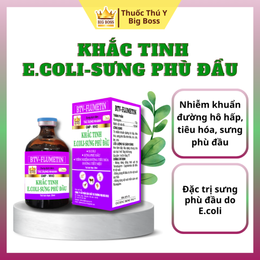 KHẮC TINH:   E.COLI - SƯNG PHÙ ĐẦU - 100ML. KHẮC TINH  E.coli, Sưng phù đầu, Viêm nhiễm đường  tiêu hóa đường tiết niệu.