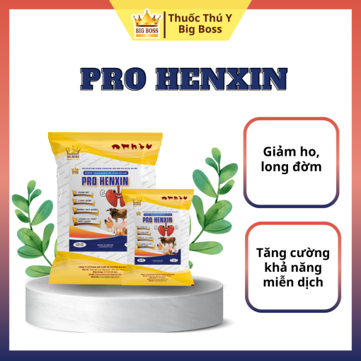 PRO HENXIN - 1KG. Giảm ho, long đờm, tiêu đờm, giảm ho co thắt phế quản trong các bệnh đường hô hấp.