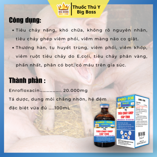 ENRO-FOR ĐẶC TRỊ TIÊU CHẢY GHÉP CẤP TÍNH - 100ML. Đặc trị tiêu chảy nặng, tiêu chảy ghép phổi ho suyễn, viêm màng não, sưng phù đầu,viêm nhiễm sinh dục, tiết niệu. - Hình ảnh 2