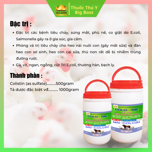 COLI. 500 - 1KG. Đặc trị viêm ruột - tiêu chảy - E.coli - Hình ảnh 2