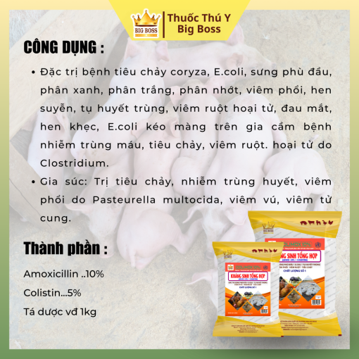 KHÁNG SINH TỔNG HỢP - 1KG. Đặc trị: Sưng phù đầu, ecoli, tụ huyết trùng, viêm phổi, tiêu chảy. - Hình ảnh 2