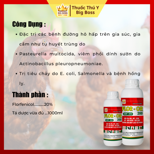 FLO-OR 200 - 1L. Đặc trị : CRD - ORT - CCRD ho- hen  suyễn - tiêu chảy thương hàn ghép E.Coli  kéo màng - Hình ảnh 2