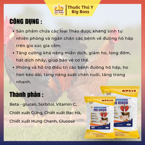 PRO HENXIN - 1KG. Giảm ho, long đờm, tiêu đờm, giảm ho co thắt phế quản trong các bệnh đường hô hấp. - Hình ảnh 3