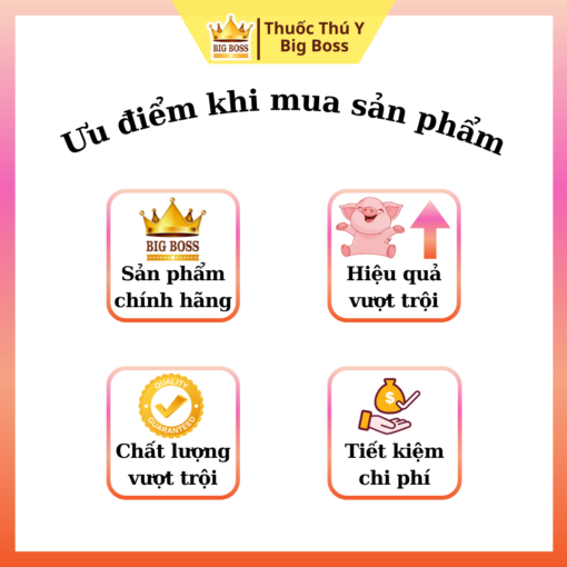 KHẮC TINH HO GIA SÚC - GIA CẦM - 100ML. Trị nhiễm trùng đường hô hấp, Ho suyễn,  viêm phổi dính sườn, trên trâu, bò, cừu và  lợn - Hình ảnh 3