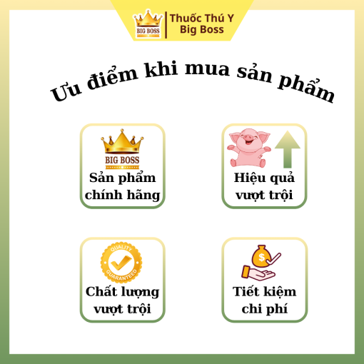 KHÁNG SINH TỔNG HỢP - 1KG. Đặc trị: Sưng phù đầu, ecoli, tụ huyết trùng, viêm phổi, tiêu chảy. - Hình ảnh 3