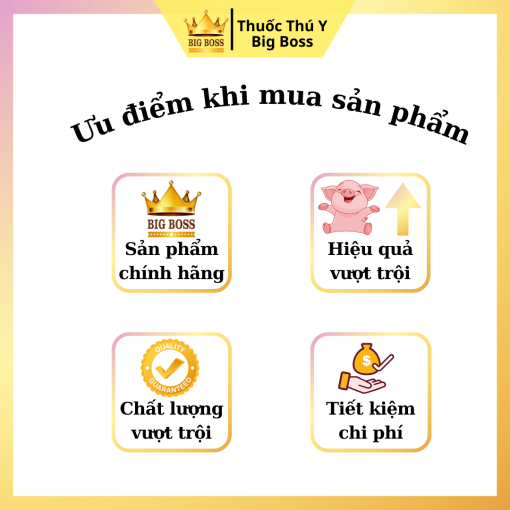 THÈM ĂN MAU LỚN -  VITA B - 1KG. Vật nuôi thèm ăn, ăn nhiều, lớn nhanh, giảm chi phí thức ăn - Hình ảnh 3