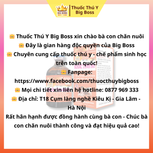 KHẮC TINH HO GIA SÚC - GIA CẦM - 100ML. Trị nhiễm trùng đường hô hấp, Ho suyễn,  viêm phổi dính sườn, trên trâu, bò, cừu và  lợn - Hình ảnh 5