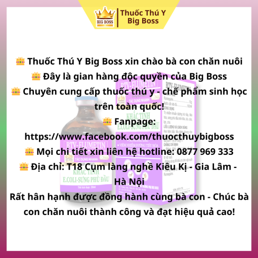 KHẮC TINH:   E.COLI - SƯNG PHÙ ĐẦU - 100ML. KHẮC TINH  E.coli, Sưng phù đầu, Viêm nhiễm đường  tiêu hóa đường tiết niệu. - Hình ảnh 5