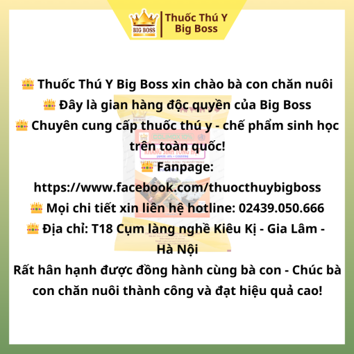 KHÁNG SINH TỔNG HỢP - 1KG. Đặc trị: Sưng phù đầu, ecoli, tụ huyết trùng, viêm phổi, tiêu chảy. - Hình ảnh 5