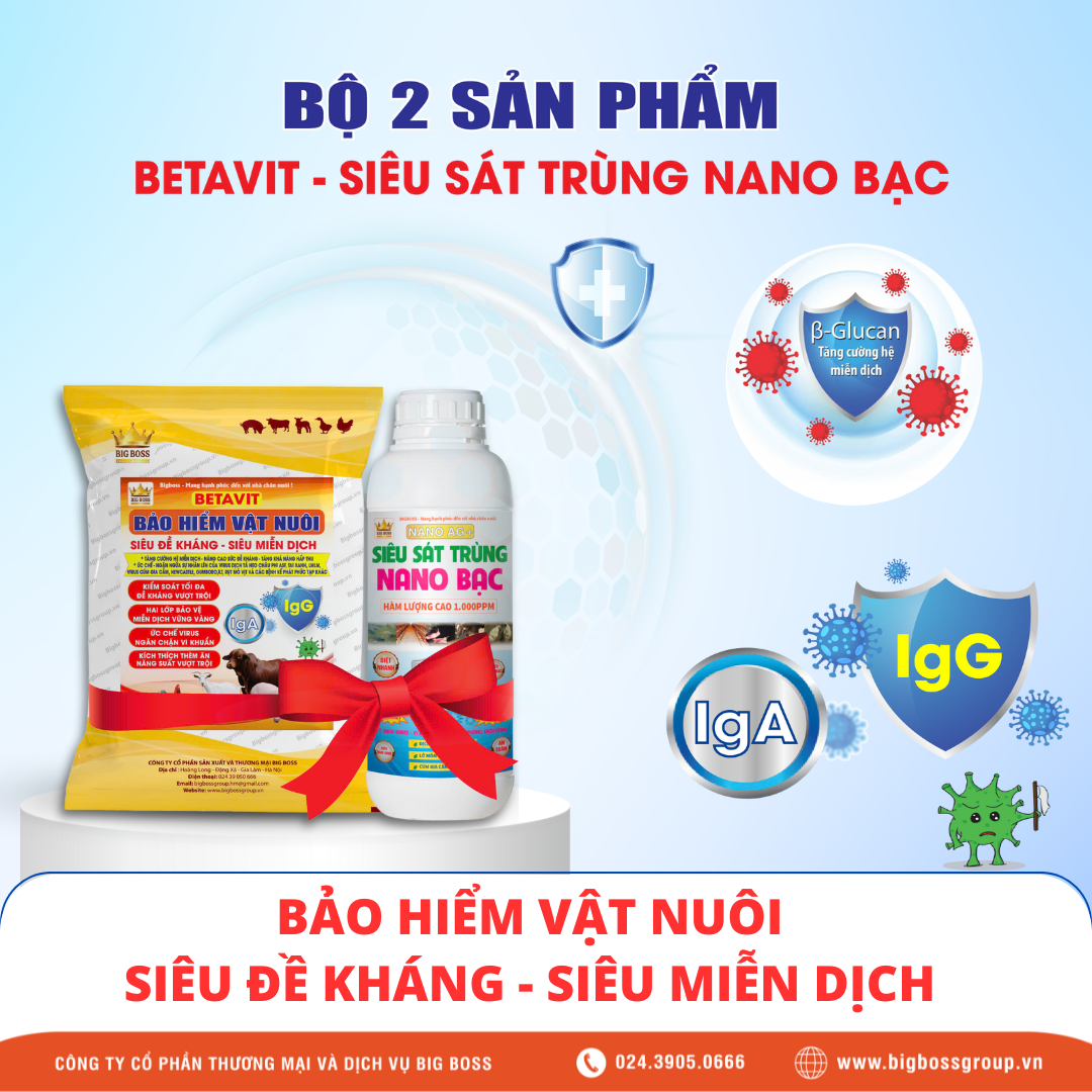 Combo sản phẩm Betavit và Nano bạc bảo vệ vật nuôi phòng ngừa ASF