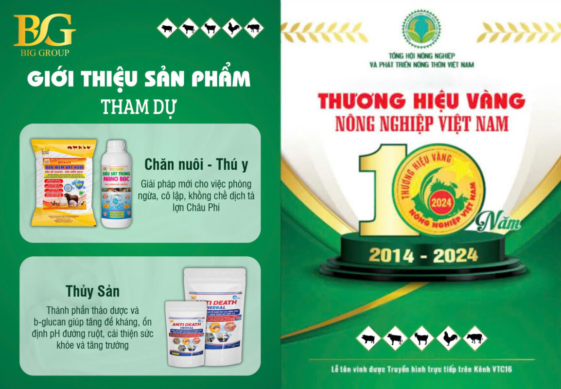 Sản phẩm tham dự của Big Group trong Thương Hiệu vàng năm 2024