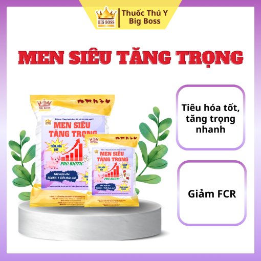 PRO BIOTIC - MEN SIÊU TĂNG TRỌNG - 1KG