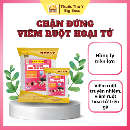 CHẶN ĐỨNG VIÊM RUỘT HOẠI TỬ - 1KG