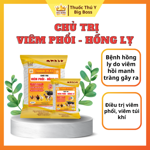 CHỦ TRỊ VIÊM PHỔI - HỒNG LỴ - 1KG