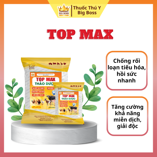 TOP MAX - 1KG