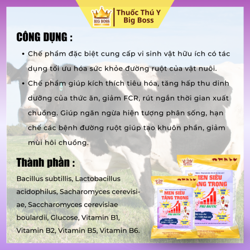 PRO BIOTIC - MEN SIÊU TĂNG TRỌNG - 1KG - Hình ảnh 2