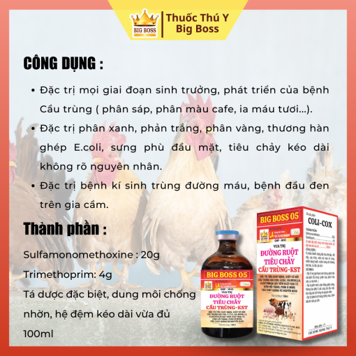 VUA TRỊ ĐƯỜNG RUỘT TIÊU CHẢY CẦU TRÙNG - KST - 100ML - Hình ảnh 2