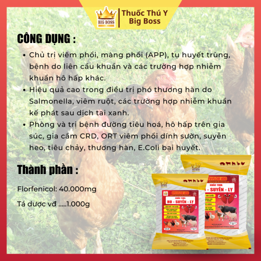 KHẮC TINH: HO - SUYỄN - LỴ - 1KG - Hình ảnh 2