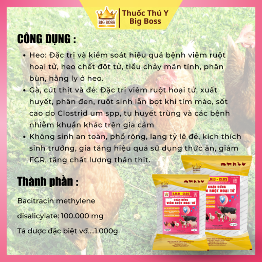 CHẶN ĐỨNG VIÊM RUỘT HOẠI TỬ - 1KG - Hình ảnh 2