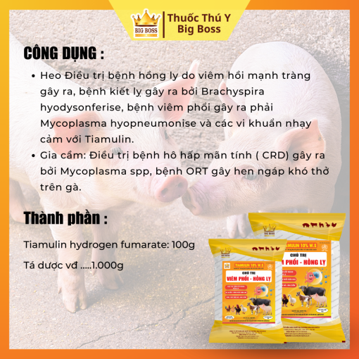 CHỦ TRỊ VIÊM PHỔI - HỒNG LỴ - 1KG - Hình ảnh 2