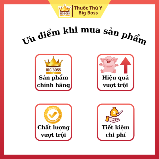 KHẮC TINH: HO - SUYỄN - LỴ - 1KG - Hình ảnh 3