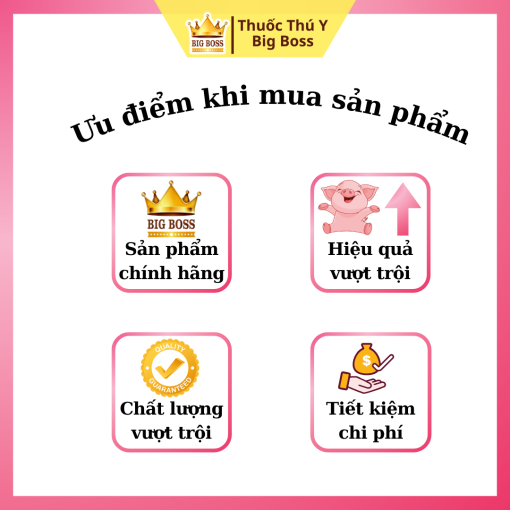 CHẶN ĐỨNG VIÊM RUỘT HOẠI TỬ - 1KG - Hình ảnh 3