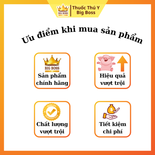 CHỦ TRỊ VIÊM PHỔI - HỒNG LỴ - 1KG - Hình ảnh 3