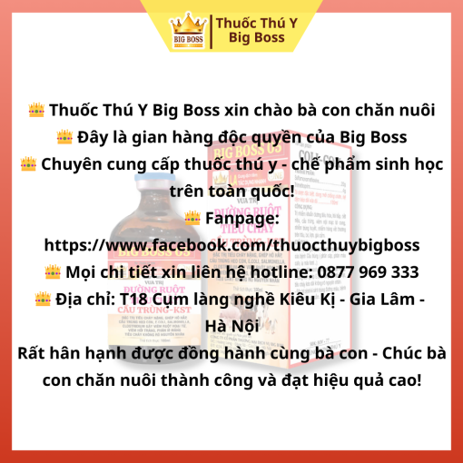 VUA TRỊ ĐƯỜNG RUỘT TIÊU CHẢY CẦU TRÙNG - KST - 100ML - Hình ảnh 5