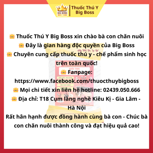 KHẮC TINH: HO - SUYỄN - LỴ - 1KG - Hình ảnh 5