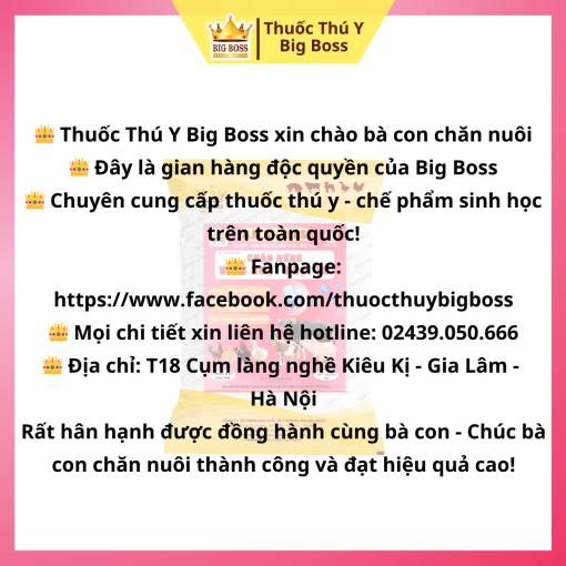 CHẶN ĐỨNG VIÊM RUỘT HOẠI TỬ - 1KG - Hình ảnh 5