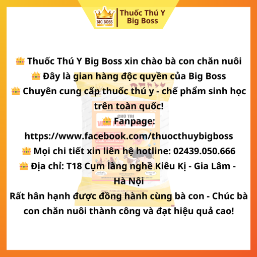 CHỦ TRỊ VIÊM PHỔI - HỒNG LỴ - 1KG - Hình ảnh 5